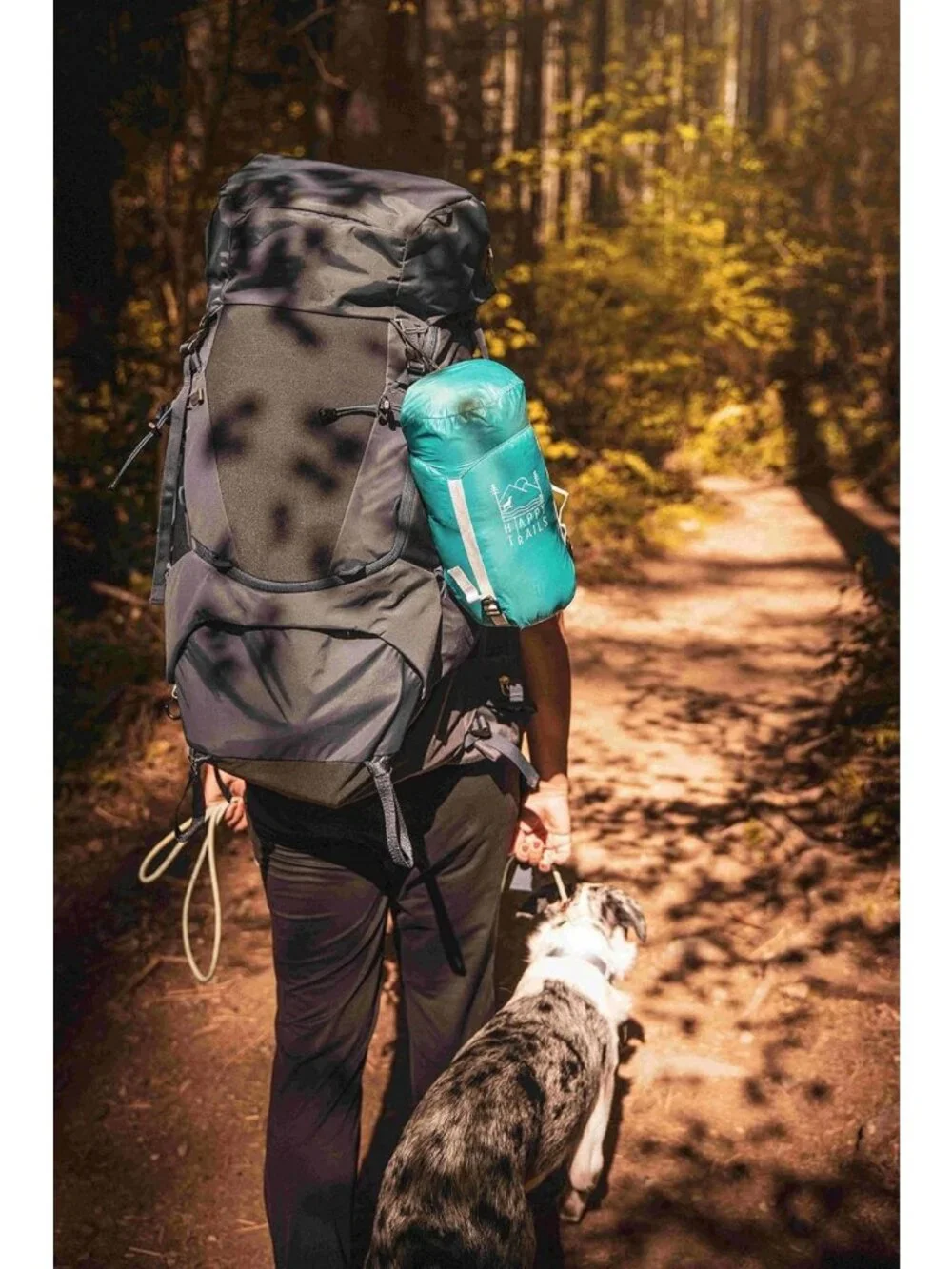 Ultralight Glacial Blue Dog Sleeping Bag & Packable Bed for Hiking & Camping